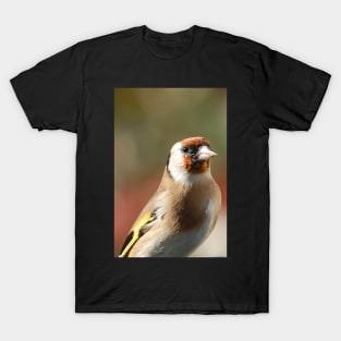 Goldfinch model T-Shirt